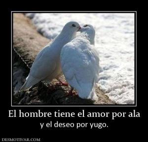 El hombre tiene el amor por ala y el deseo por yugo.