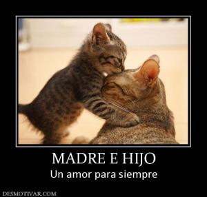 MADRE E HIJO Un amor para siempre