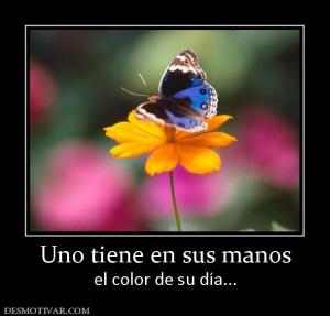 Uno tiene en sus manos el color de su día...