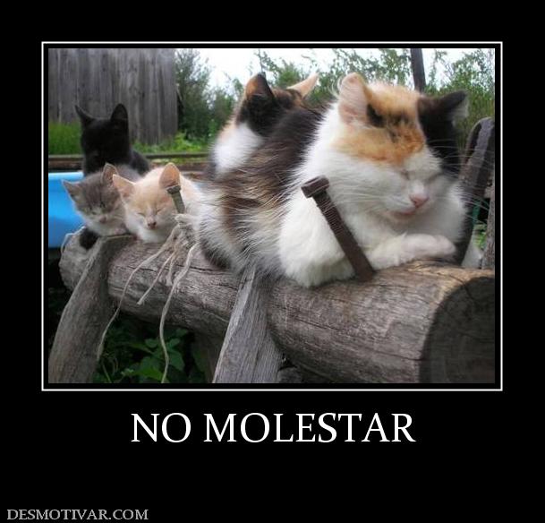 NO MOLESTAR