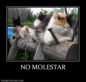 NO MOLESTAR
