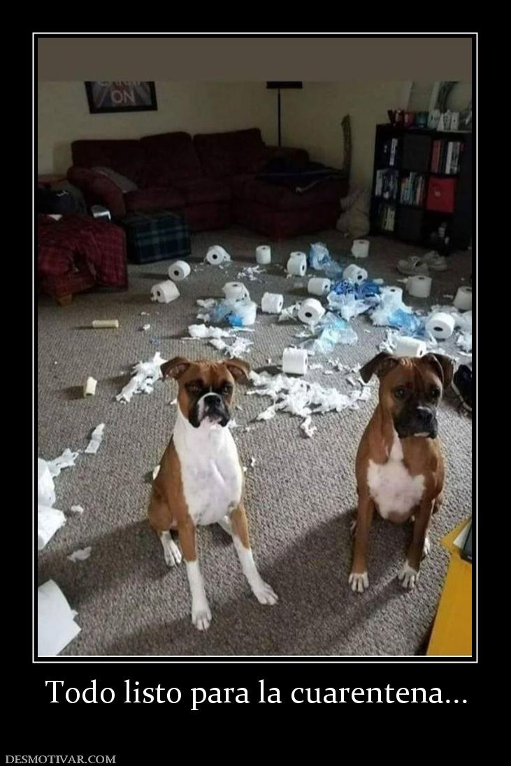 Todo listo para la cuarentena...