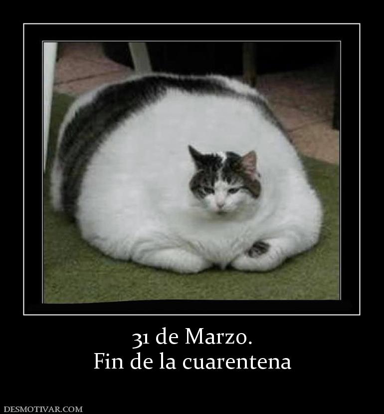 31 de Marzo. Fin de la cuarentena
