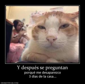 Y después se preguntan porqué me desaparezco 3 días de la casa...