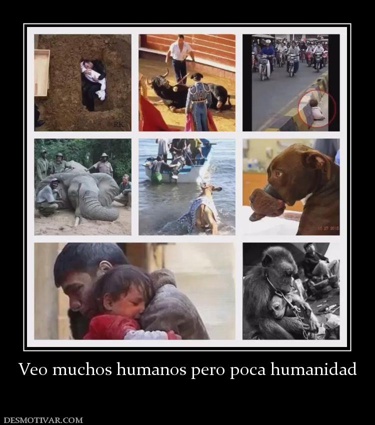 Veo muchos humanos pero poca humanidad