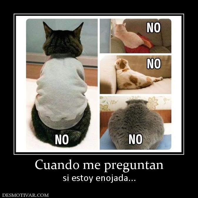 Cuando me preguntan si estoy enojada...