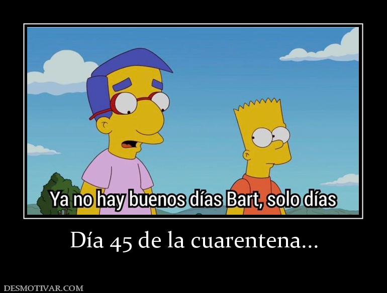 Día 45 de la cuarentena...