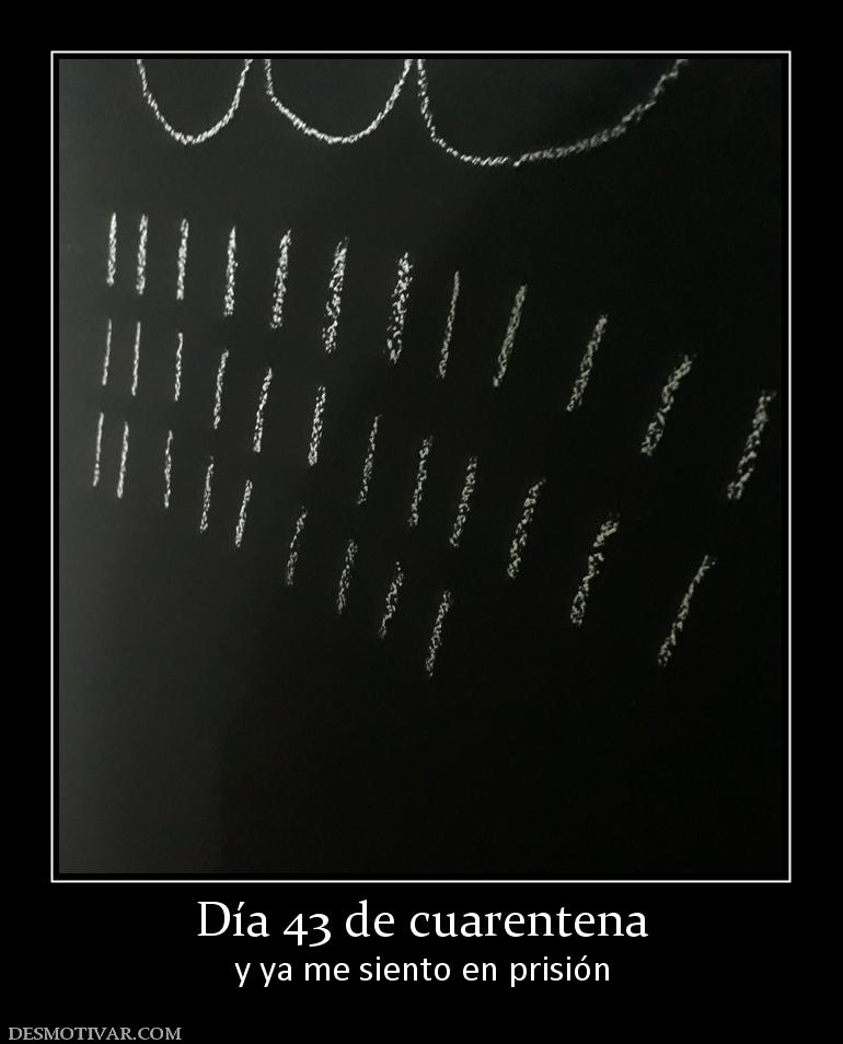 Día 43 de cuarentena y ya me siento en prisión