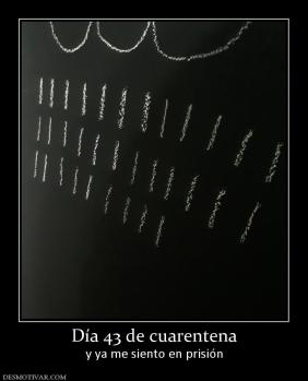 Día 43 de cuarentena y ya me siento en prisión