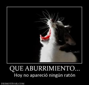 QUE ABURRIMIENTO... Hoy no apareció ningún ratón