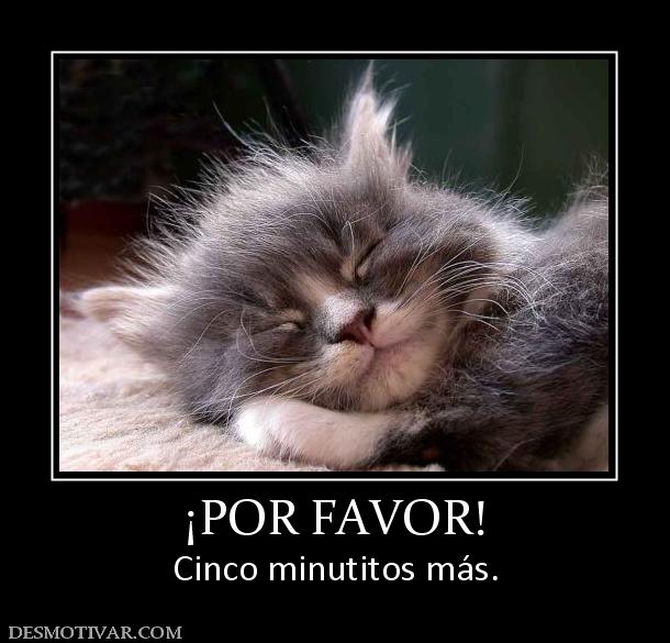 ¡POR FAVOR! Cinco minutitos más.