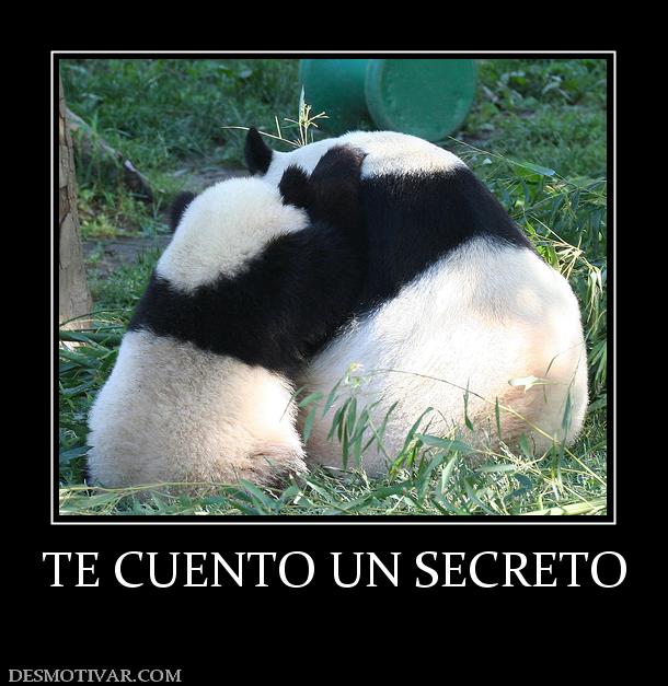 TE CUENTO UN SECRETO