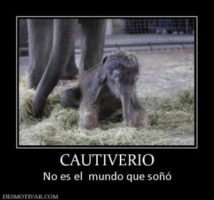 CAUTIVERIO No es el  mundo que soñó