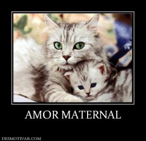 AMOR MATERNAL