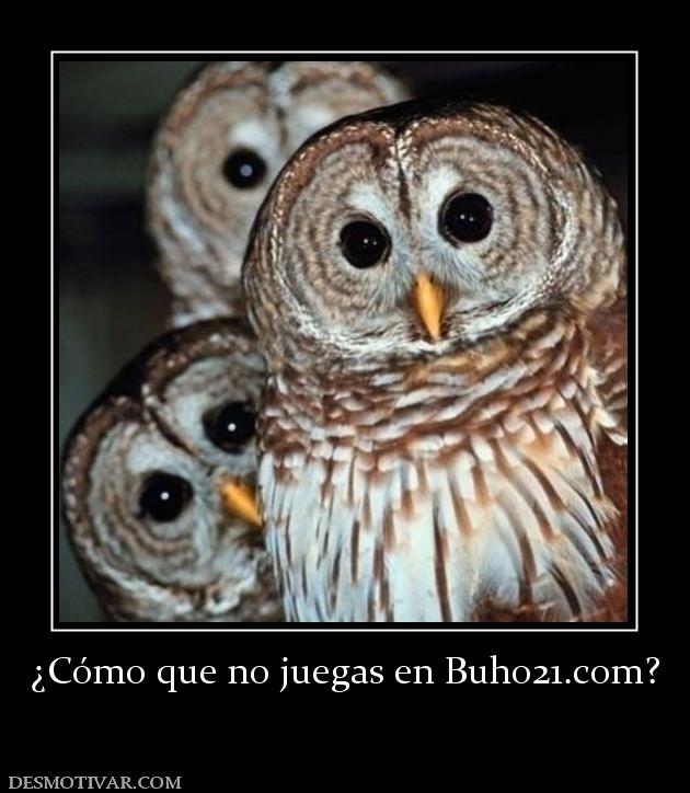 ¿Cómo que no juegas en buho21.org?
