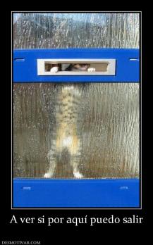 A ver si por aquí puedo salir