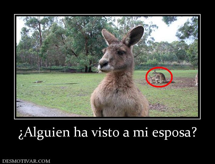 ¿Alguien ha visto a mi esposa?