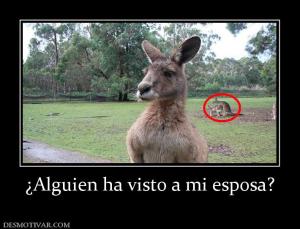 ¿Alguien ha visto a mi esposa?