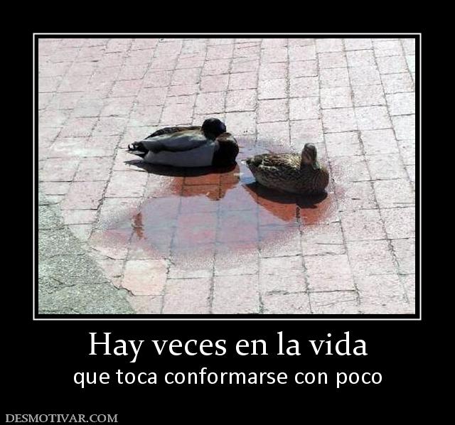 Hay veces en la vida que toca conformarse con poco