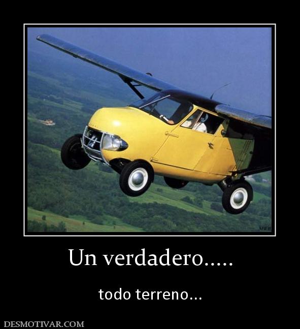Un verdadero.....  todo terreno...