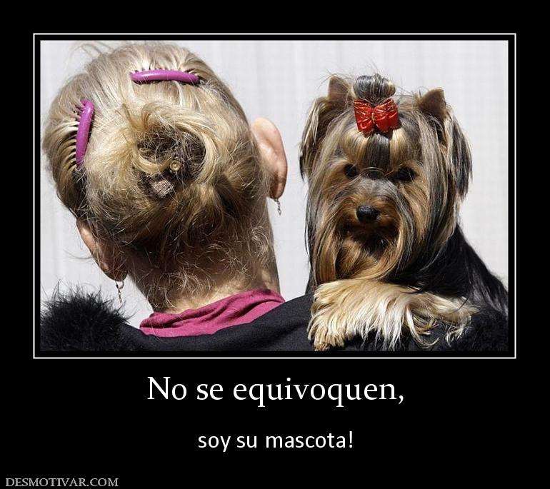 No se equivoquen,  soy su mascota!