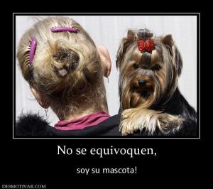 No se equivoquen,  soy su mascota!