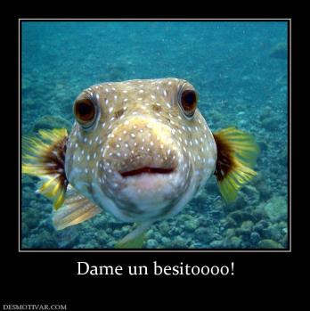 Dame un besitoooo!