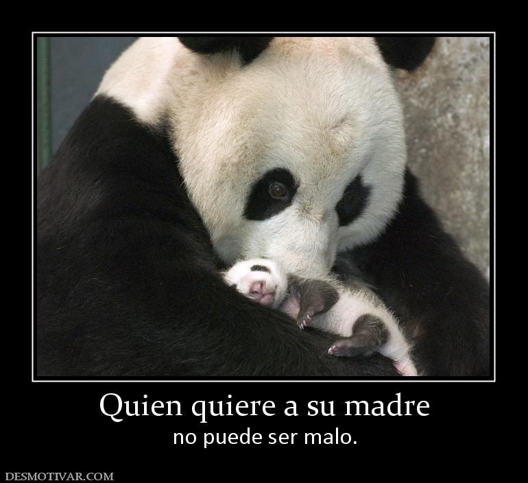 Quien quiere a su madre no puede ser malo.