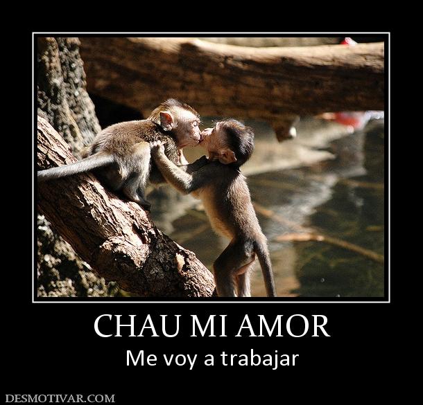 CHAU MI AMOR Me voy a trabajar