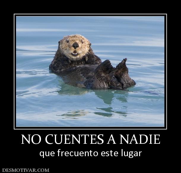 NO CUENTES A NADIE que frecuento este lugar