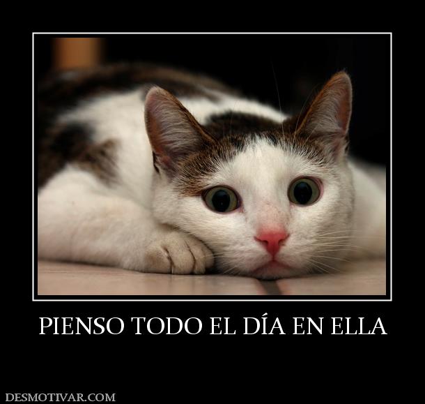 PIENSO TODO EL DÍA EN ELLA