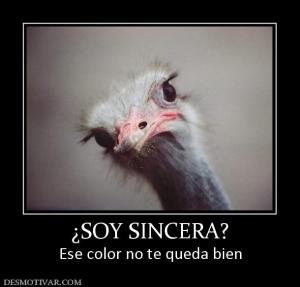 ¿SOY SINCERA? Ese color no te queda bien