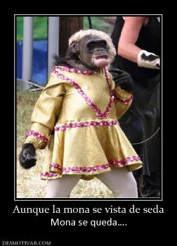 Aunque la mona se vista de seda Mona se queda….