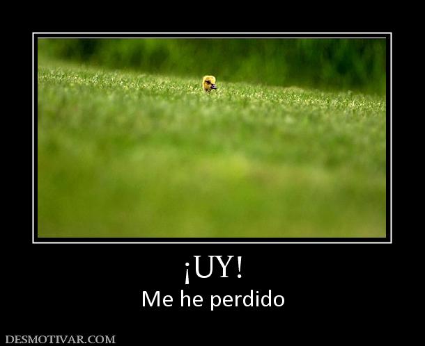 ¡UY! Me he perdido
