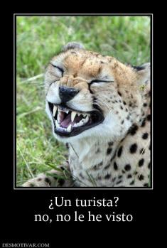 ¿Un turista? no, no le he visto
