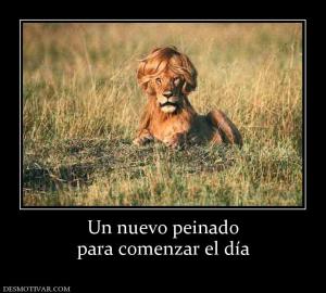 Un nuevo peinado para comenzar el día