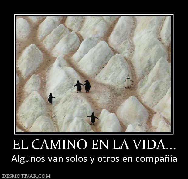 EL CAMINO EN LA VIDA... Algunos van solos y otros en compañía