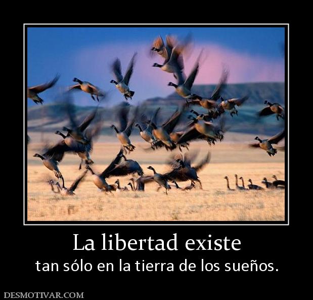 La libertad existe tan sólo en la tierra de los sueños.