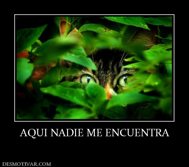 AQUI NADIE ME ENCUENTRA