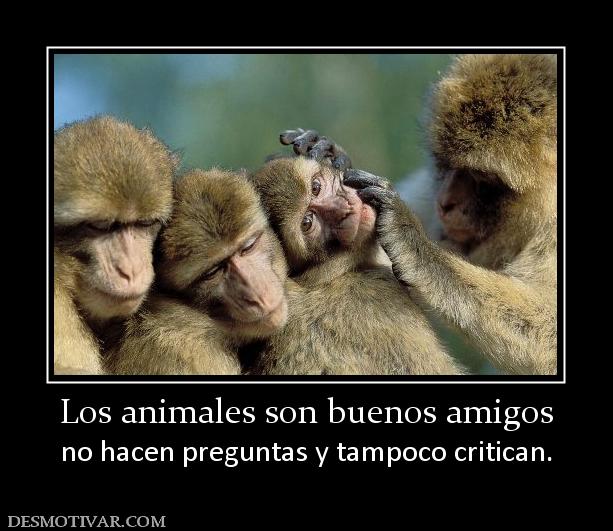 Los animales son buenos amigos no hacen preguntas y tampoco critican.