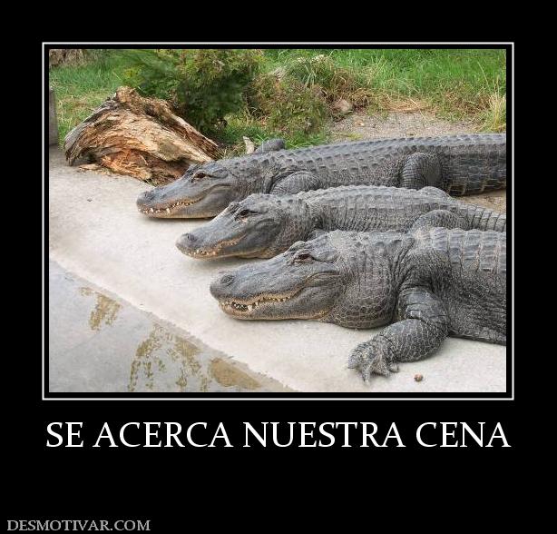 SE ACERCA NUESTRA CENA