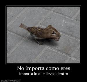 No importa como eres importa lo que llevas dentro