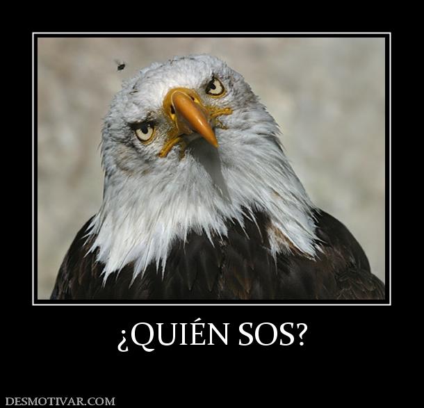 ¿QUIÉN SOS?