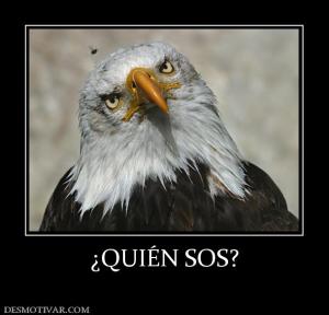 ¿QUIÉN SOS?