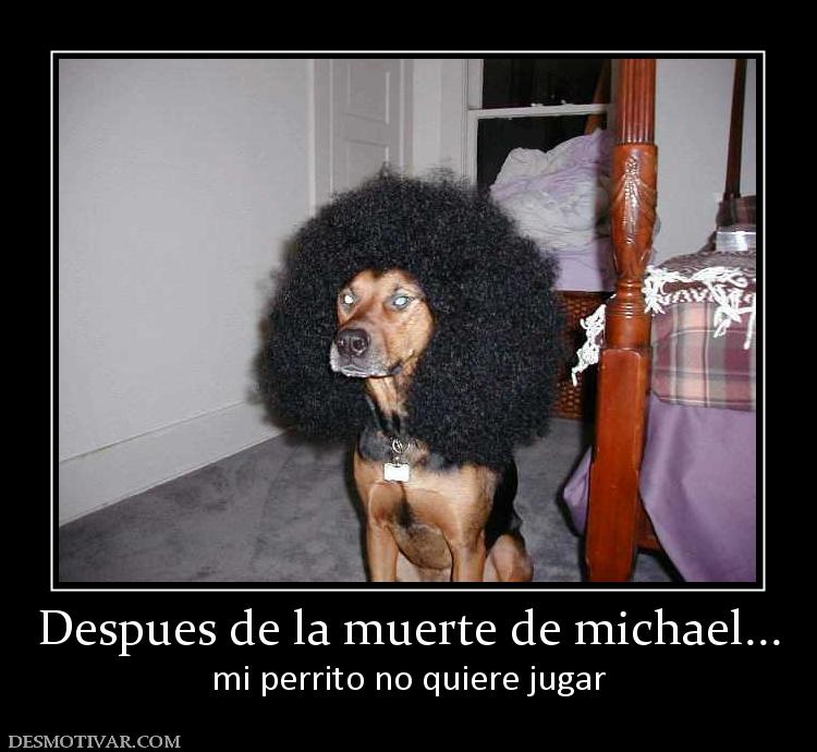 Despues de la muerte de michael... mi perrito no quiere jugar