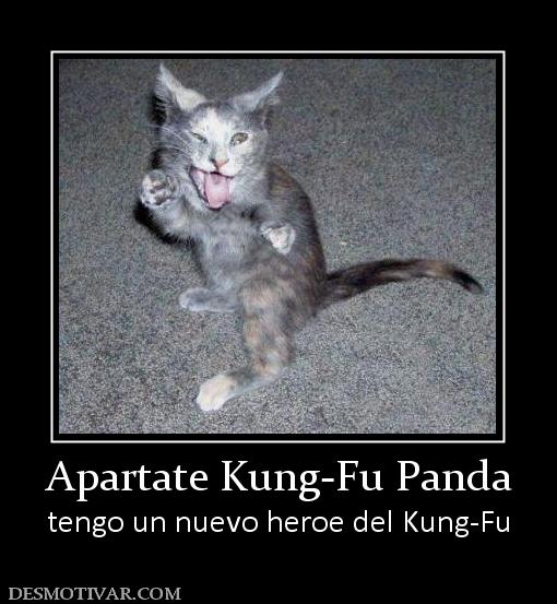 Apartate Kung-Fu Panda tengo un nuevo heroe del Kung-Fu