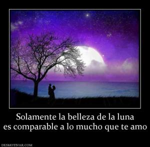 Solamente la belleza de la luna es comparable a lo mucho que te amo