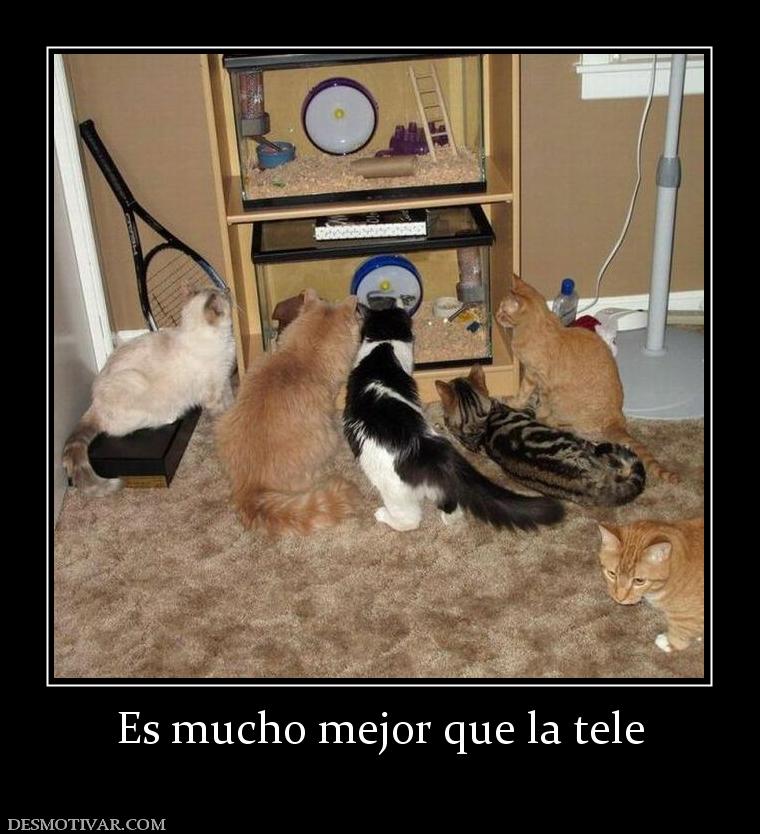 Es mucho mejor que la tele