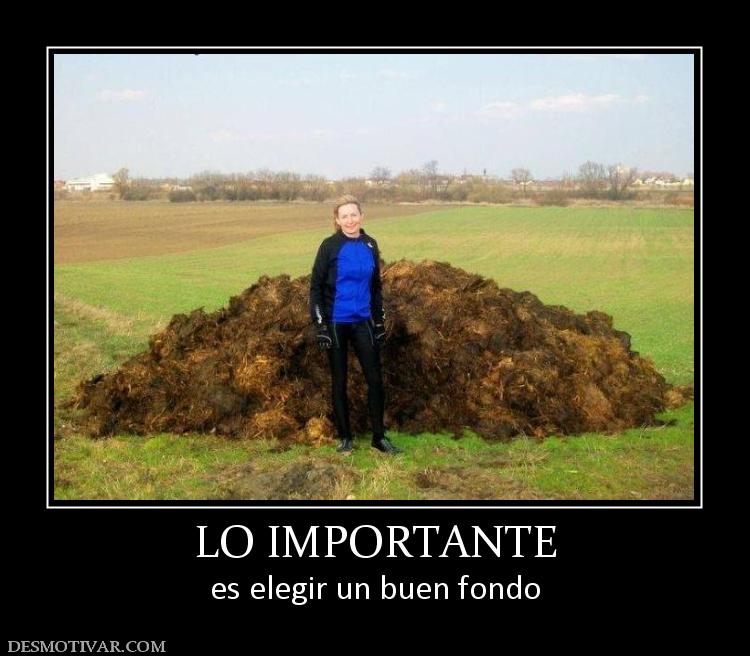 LO IMPORTANTE es elegir un buen fondo