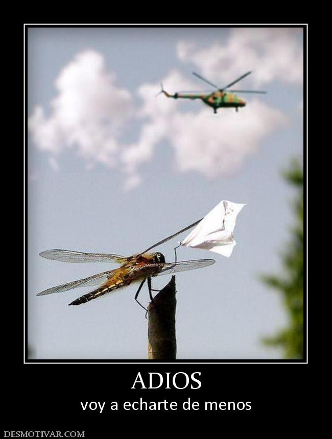 ADIOS voy a echarte de menos